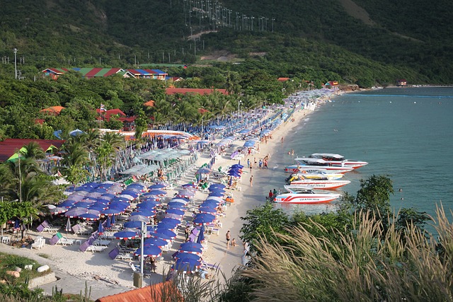 Summer holiday To The Ocxolaten River
